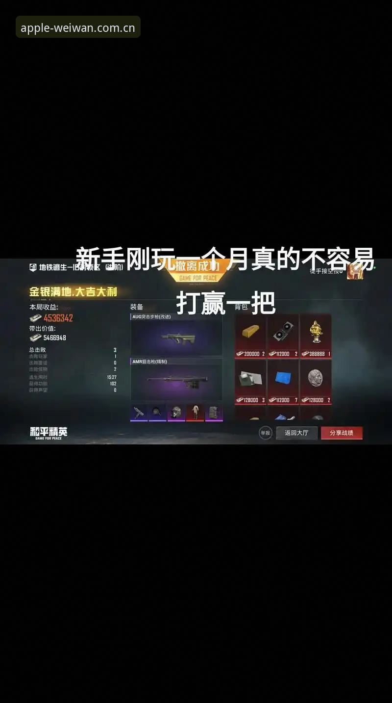 微玩体育中国官方主页快速访问功能是否真能打破入口效率瓶颈？
